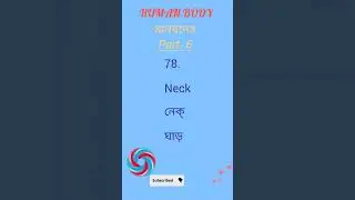 human body parts name part 6