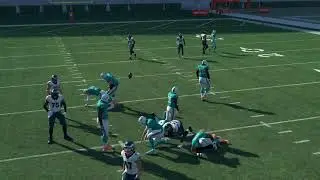 DE NANO BLITZ  Madden 18,