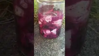 Java Plum Natural Plant Dye