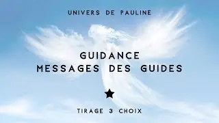 Guidance Messages des Guides [Tirage 3 choix intemporel]