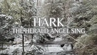 Hark, The Herald Angel Sing (Metal Cover by Nick Aldrich)