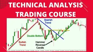 The Profitable Technical Analysis Trading Course For Beginners