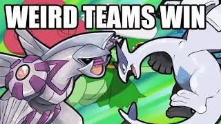 THIS IS YOUR NEW FAVORITE TEAM