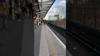 Class 455 arrives at Peckham Rye