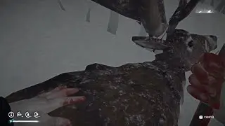 The Long Dark This is awkward