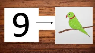 How To Draw A Parrot With Number 9 Very Easy Step By Step @chandrimaarts