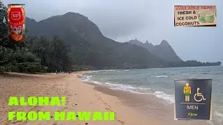 My Hawaii Honeymoon (with less camera time)