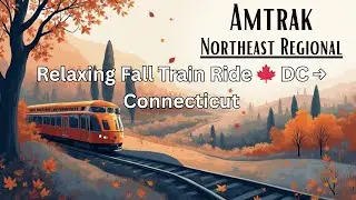 Relaxing Amtrak Fall Foliage Ride 🍁 Washington DC - Bridgeport CT | Northeast Regional Train Journey