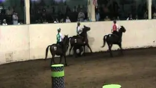 OCEAN TRAIL RIDERS HORSE SOCCER GAME @ Oregon state fair video 007