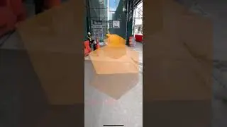 Torch Spatial AR Daytime