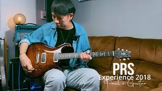 Prs Experience 2018 Paul's Guitar By Guitarcoach Shop