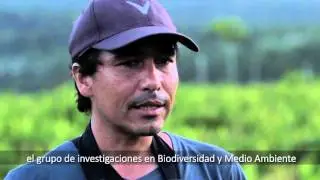 Save our forest