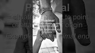 Word of the Day: Proximal #Shorts