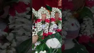 Untitled video