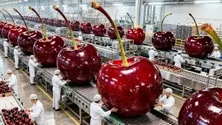 Cherry Pie Cake Factory Process | How Cherry Cake Is Made Step by Step | Inside Food Factory