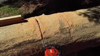 Wood slabbing prep work -5