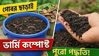 Vermicompost without cow dung | How to make vermicompost at home