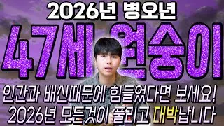 대박납니다..!! 2026년 1980년생 47세 원숭이띠운세 배신당했던 모든날을 보답받습니다! 80년생 원숭이띠의 운명과 평생의 운세 / 2026년 병오년 47세 원숭이띠 운세