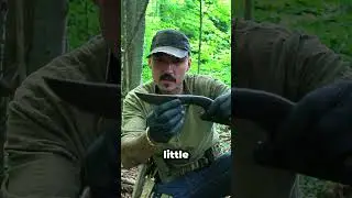 Dont Watch This If You Love Trees...