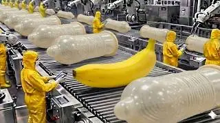 Banana Peel to Condom? 🍌 | The Truth About How Condoms Are Really Made (720P)