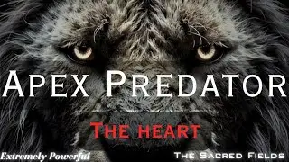 Fearless Confidence & Charisma: Morphic Field (Apex Predator Collection) (Very Powerful)