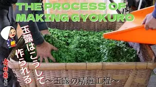 高級玉露ってどうやって作られている！？