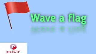 pico ctf (Wave a Flag) || TUTORIAL