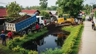 Deleting Pond Using Dump Truck & Bulldozer | Land Filling Project in Countryside