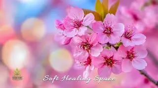 Gentle Healing Piano Music 🌸 Spring Nature for Deep Relaxation
