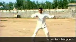 Wang Xi An - Tai Chi style Chen Xinjia Erlu Paochui 1981 [陈氏太极拳新架 Taijiquan style Chen]