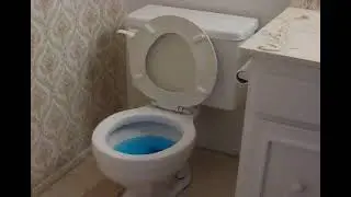Remote Flush - Hands free Toilet Flushing Device