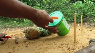 Amazing Chicken Trap Technique   Creative Chicken Trap Using Dupro Cans & Pineapple