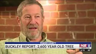 North Carolina conservation group works to preserve ancient tree