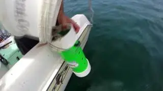 Chum Buddy is the most important piece of fishing gear to have for successful fishing trips