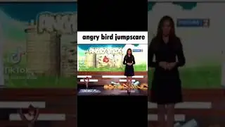 angry bird jumpscare (not mine)