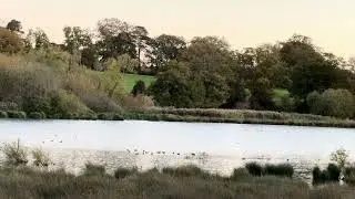 The Vyne, Basingstoke | Serene After Sunset with Nature&rsquo;s Symphony