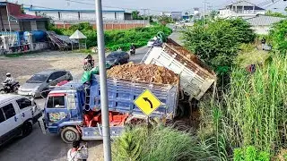 Nicely! Start Project Landfill by Excellent Skill Driver 5TTrucks unloading soil &Dozer KOMATSU D31P