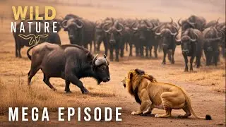 Savage Serengeti: Predators vs. Prey in the Great Migration