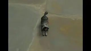 World of Warcraft Patch 8.3 - SECRET BATTLE PET JENAFUR SOLVED - Full Guide!