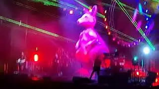 One of these days , Australian Pink Floyd live at the Ovo Glasgow 08 11 2024