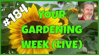 Black Friday Gardening Deals (Q&A)