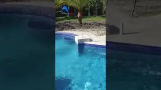 swimming pool + water features #pool #luxury #swimmingpool #pooldesign #poollife #fypシ゚viral #shorts