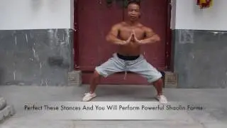 Shaolin 5 Fundamental Stances