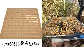 طريقة تركيب مصيدة البروبوليس أو العكبر على خلية النحل | الجزء 1