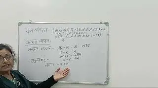 मूल व्यंजन,आगत व्यंजन#संयुक्त व्यंजन#संयुक्ताक्षर और द्वित्व व्यंजन#हिन्दी