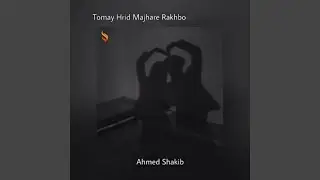 Tomay Hrid Majhare Rakhbo