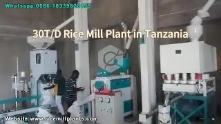 30T/D Automatic Rice Mill in Tanzania: Turning Paddy into Premium Grade Rice #autoricemill #ricemill