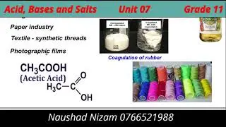 ACID,BASES AND SALTS Summary Grade 11 English medium