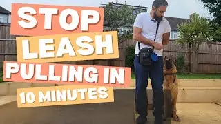 STOP LEASH PULLING IN 10 MINUTES | DOG TRAINING 