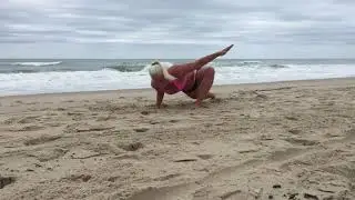 LIZZARD PRESS TO PLANK
